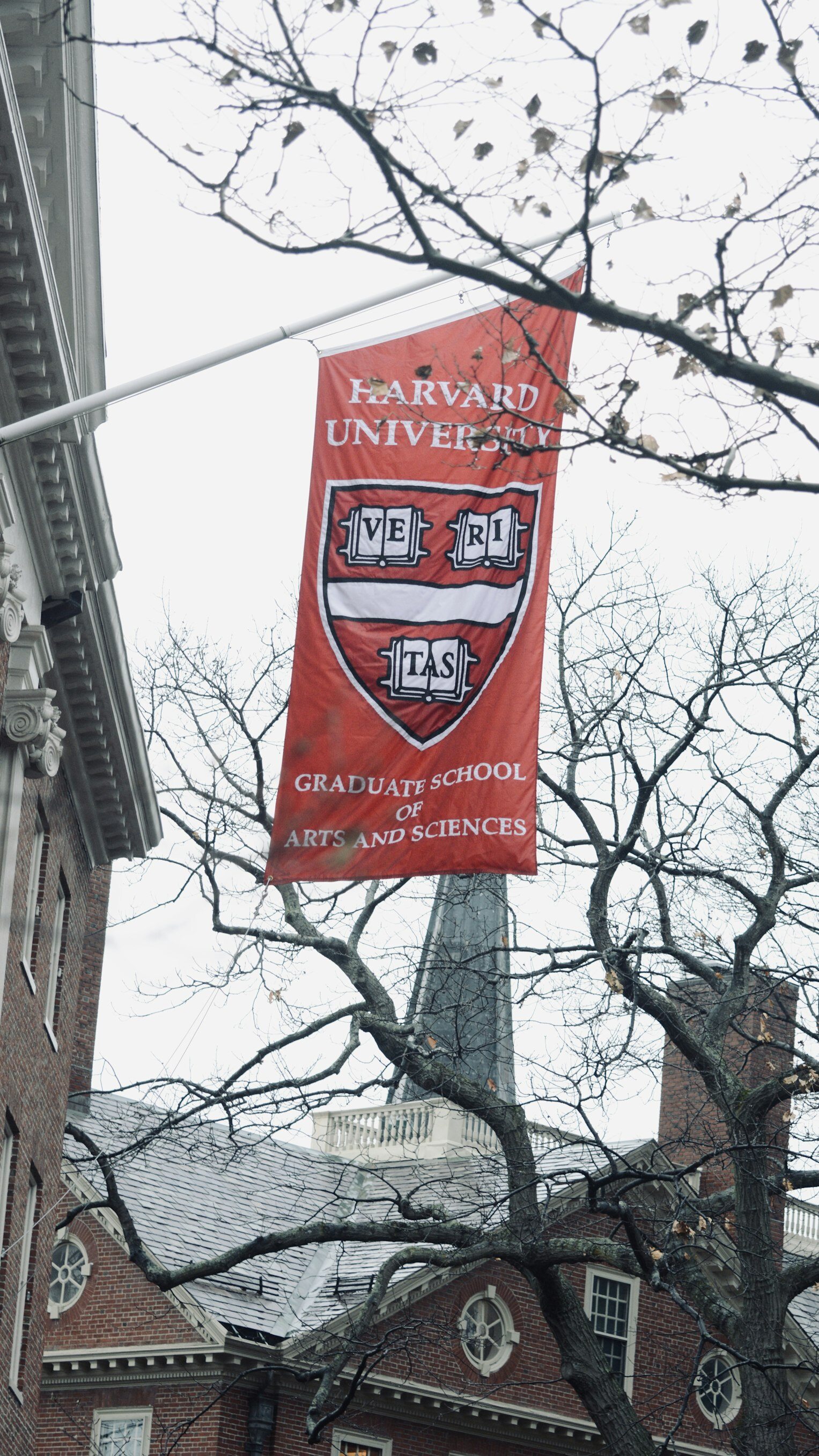 A Harvard University banner